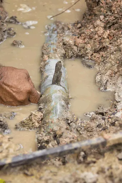 plomberie_speraneau_photo_commercial_drain_BF